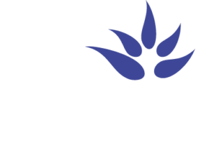 APAIE-Logo-Inverse-300x239